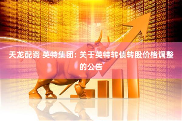 天龙配资 英特集团: 关于英特转债转股价格调整的公告