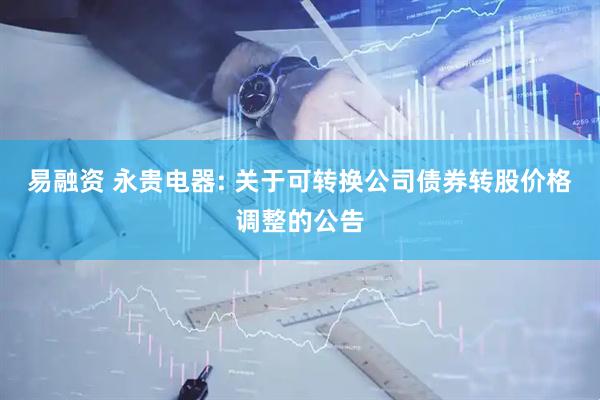 易融资 永贵电器: 关于可转换公司债券转股价格调整的公告