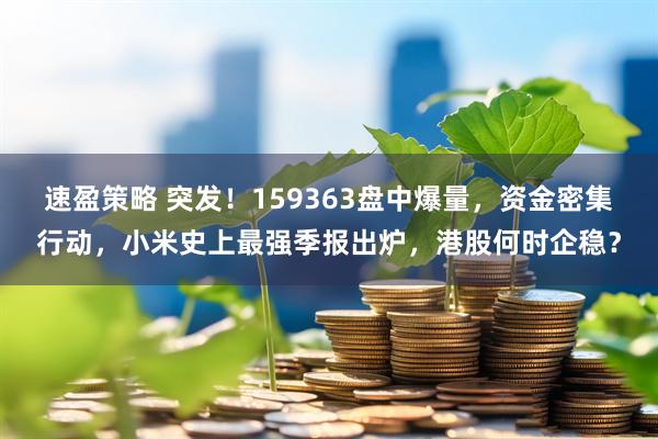 速盈策略 突发！159363盘中爆量，资金密集行动，小米史上最强季报出炉，港股何时企稳？