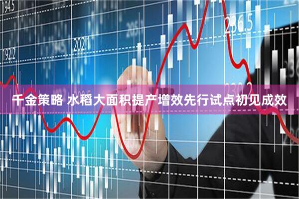 千金策略 水稻大面积提产增效先行试点初见成效