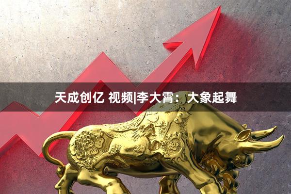 天成创亿 视频|李大霄：大象起舞