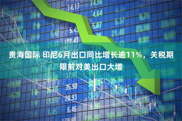 贵海国际 印尼6月出口同比增长逾11%，关税期限前对美出口大增