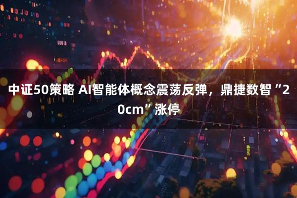 中证50策略 AI智能体概念震荡反弹，鼎捷数智“20cm”涨停