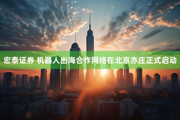 宏泰证券 机器人出海合作网络在北京亦庄正式启动