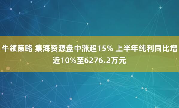 牛领策略 集海资源盘中涨超15% 上半年纯利同比增近10%至6276.2万元