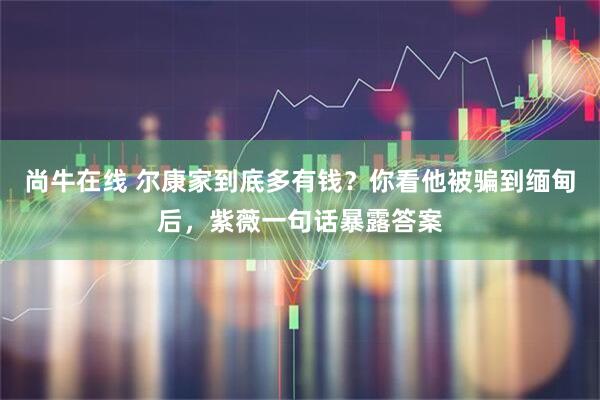 尚牛在线 尔康家到底多有钱?你看他被骗到缅甸后,紫薇一句话暴露答案