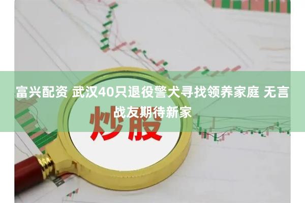 富兴配资 武汉40只退役警犬寻找领养家庭 无言战友期待新家