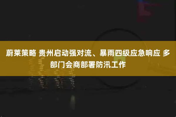 蔚莱策略 贵州启动强对流、暴雨四级应急响应 多部门会商部署防汛工作